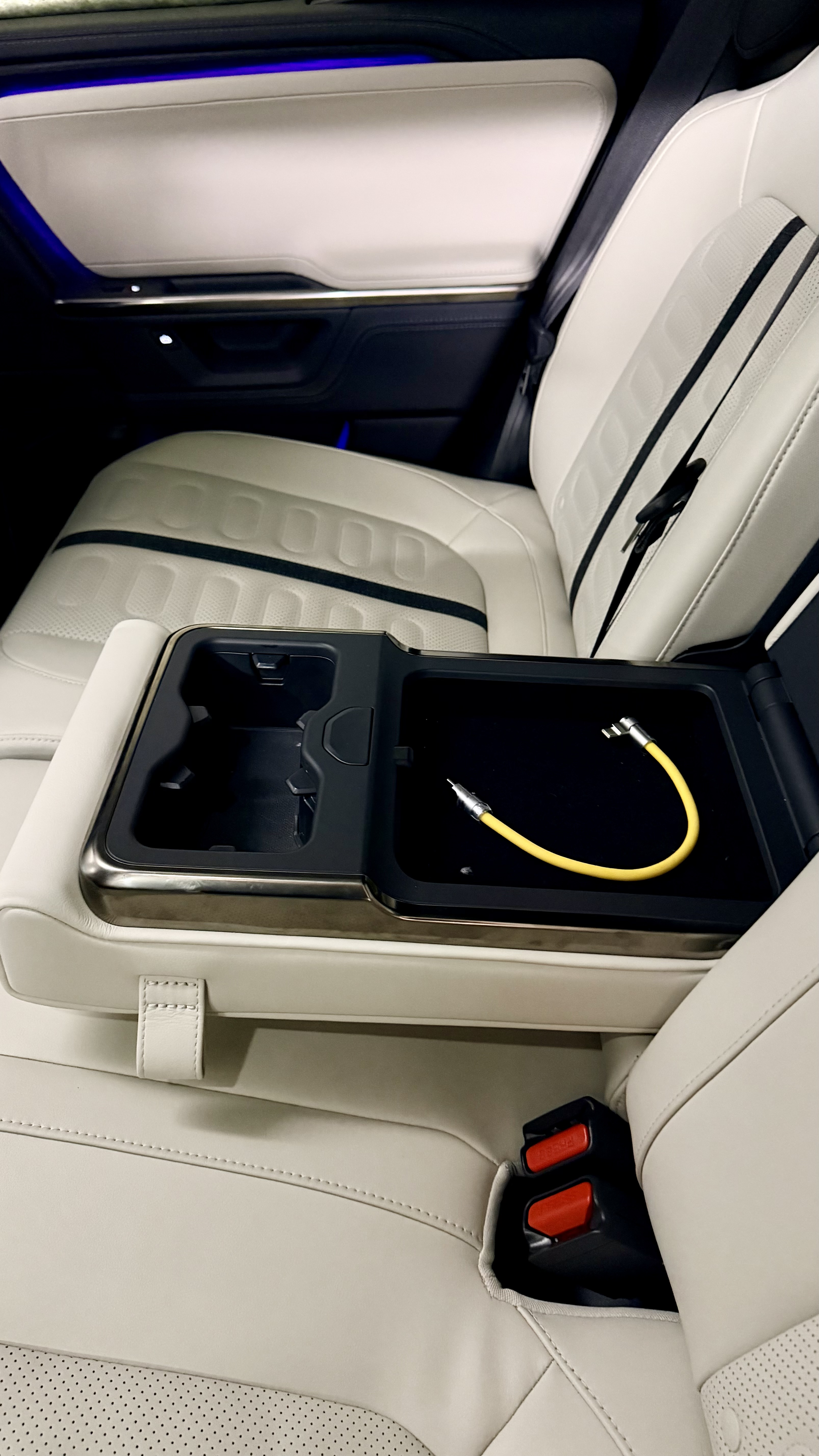 Headrest Mount Setup